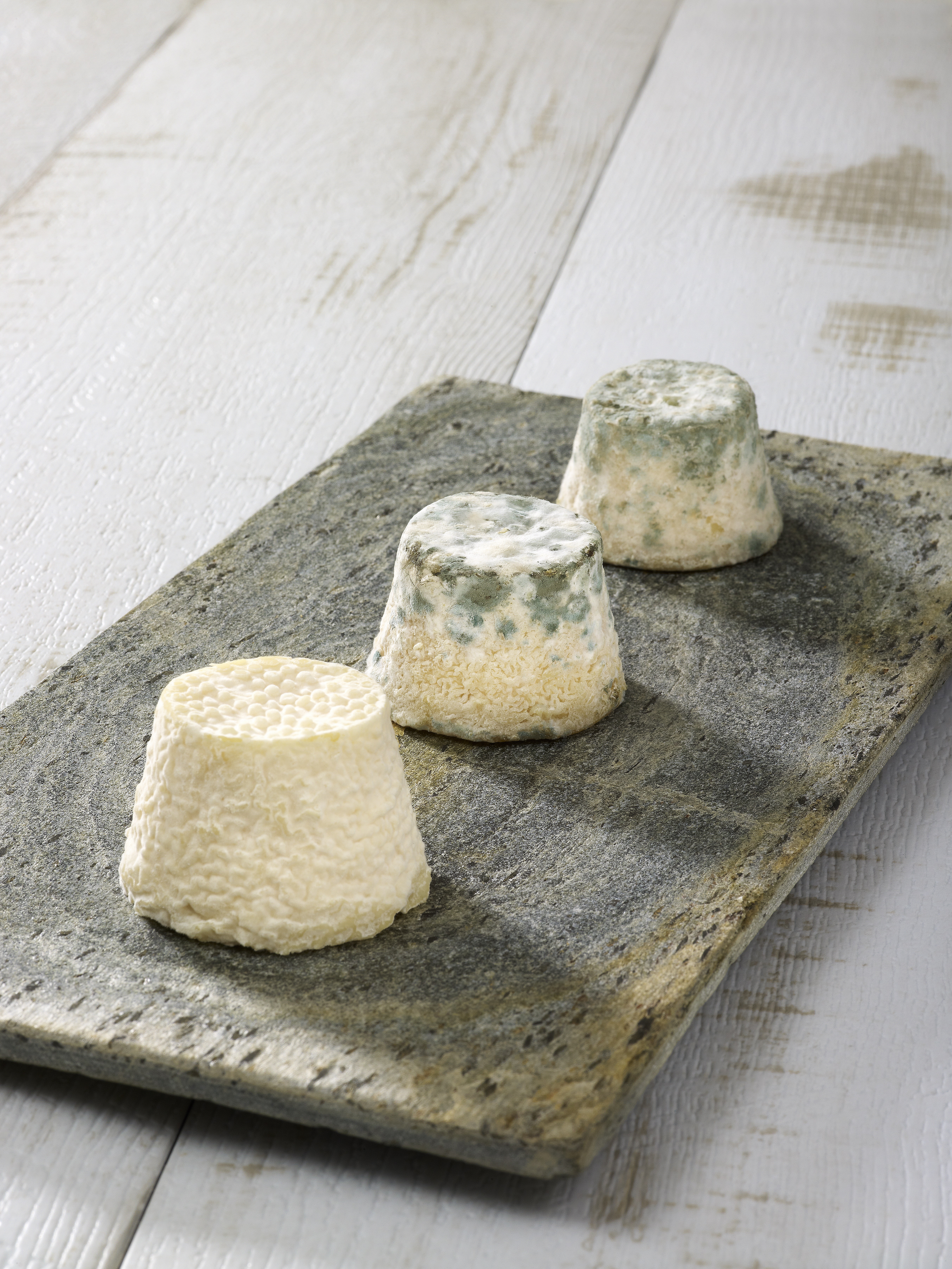 Concours de fromages